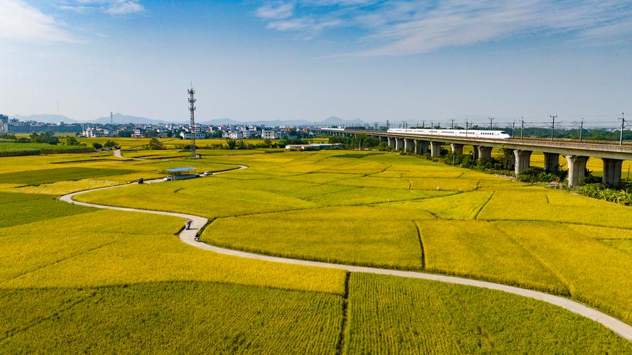 最新疫情来宾，来宾最新疫情事件今天？-第5张图片-优品飞百科