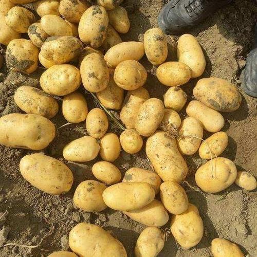 超市借疫情涨价被罚，疫情期间超市-第2张图片-优品飞百科