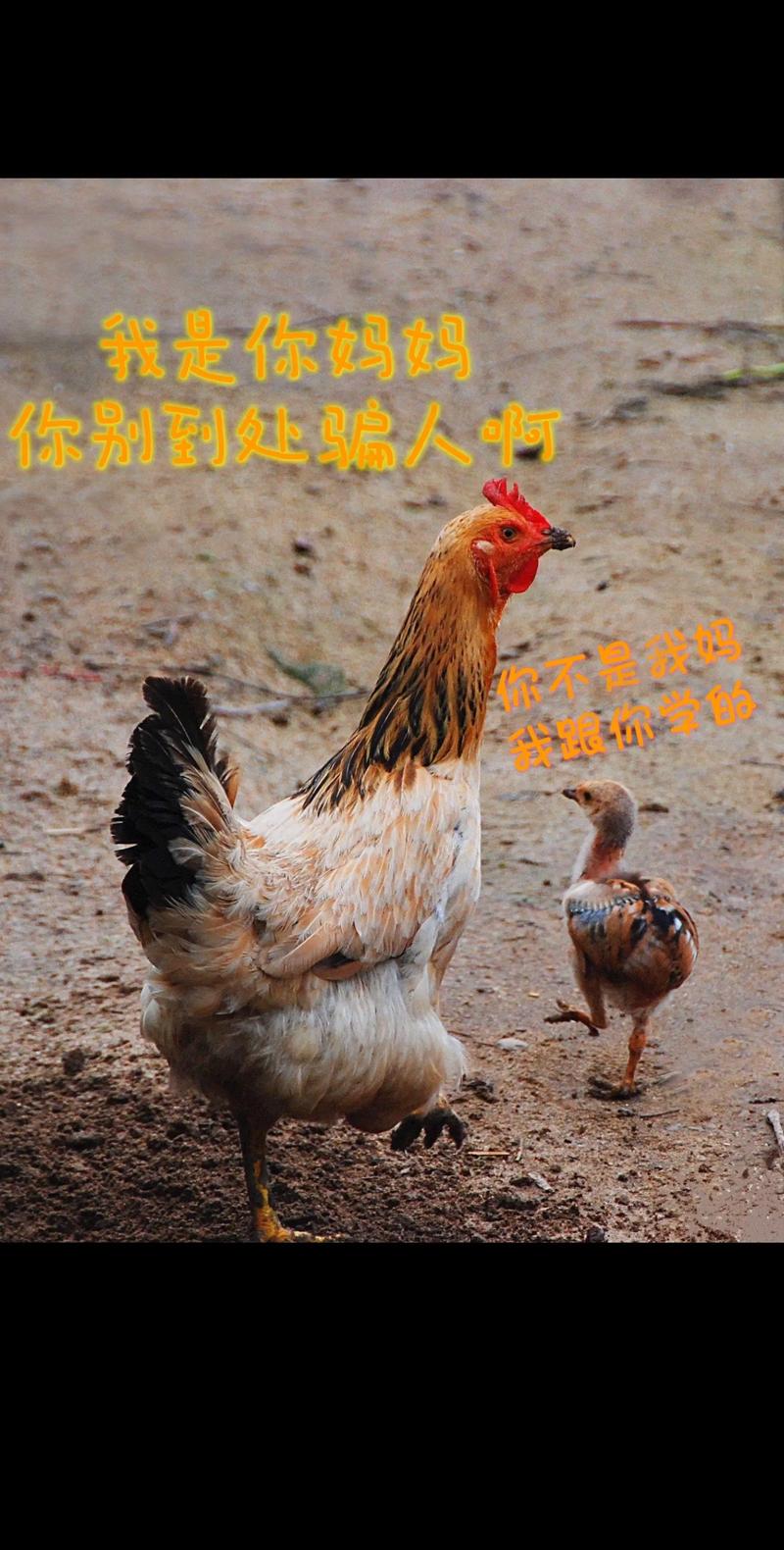 疫情期间溜达？疫情期间外出游玩？-第2张图片-优品飞百科