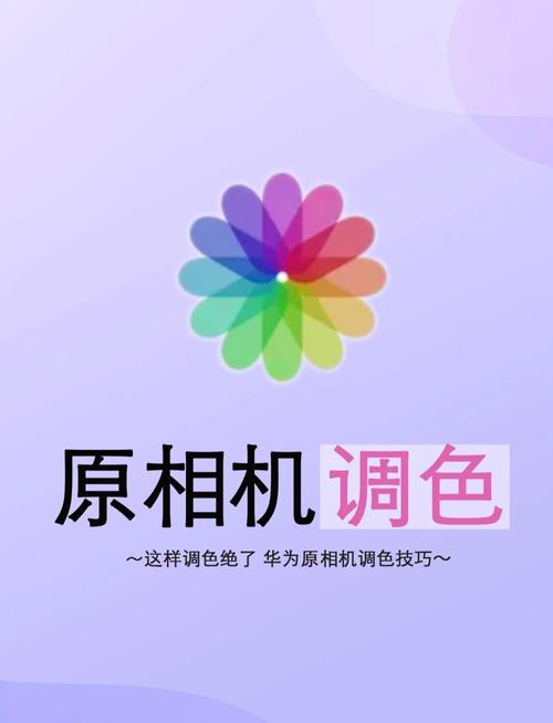 相机对比网，单反相机对比网站-第1张图片-优品飞百科