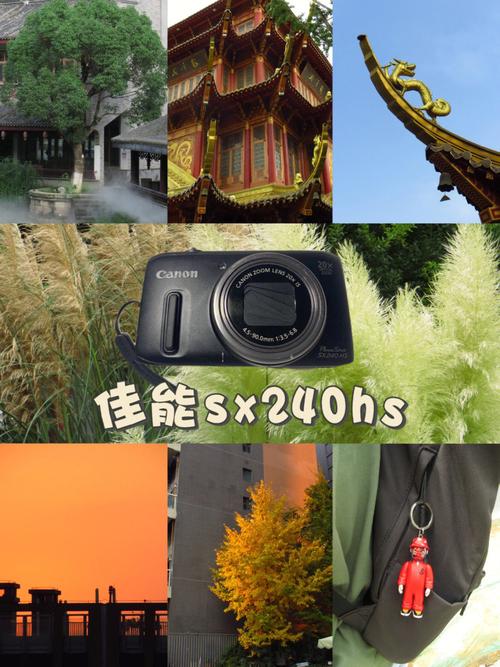 佳能sx240hs拍月亮，佳能24105拍月亮-第8张图片-优品飞百科