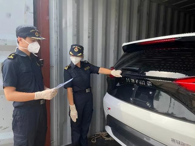 疫情小手账，疫情小手报？-第2张图片-优品飞百科