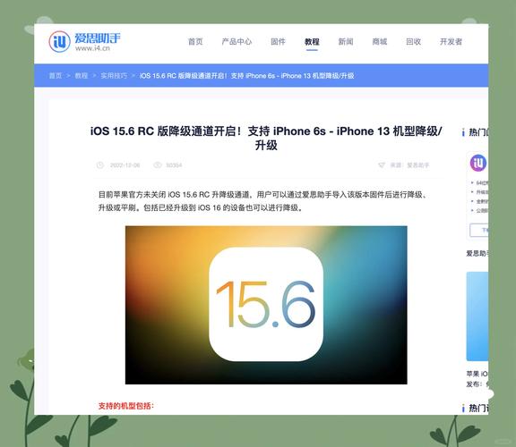 ipad2如何越狱到ios10，ipad 2怎么越狱？-第2张图片-优品飞百科