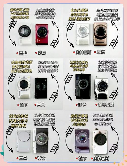 最热销微单相机排名，2020前十微单相机排名最新？-第5张图片-优品飞百科