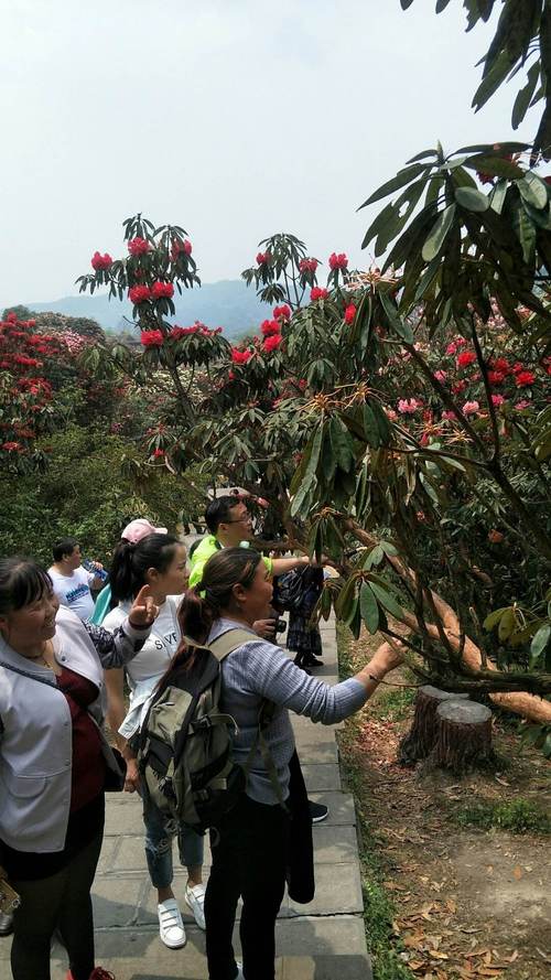 丽江天气预报10天？丽江天气预报30天？-第1张图片-优品飞百科