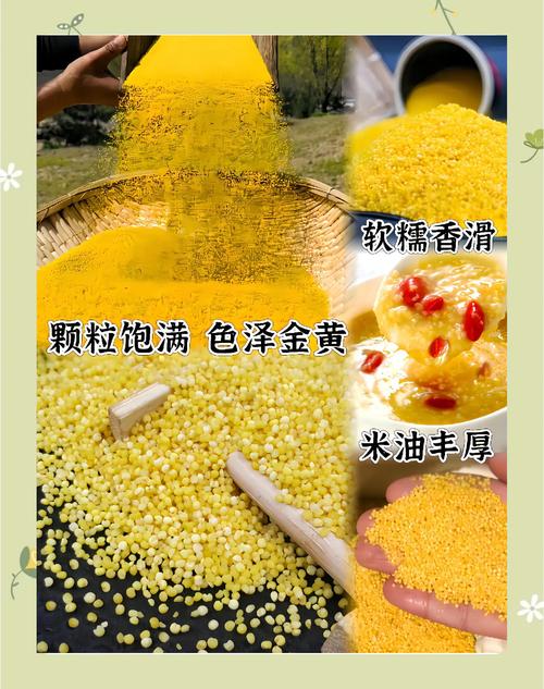 市场小米费用多少钱一斤？小米多少一斤 市场价？-第1张图片-优品飞百科