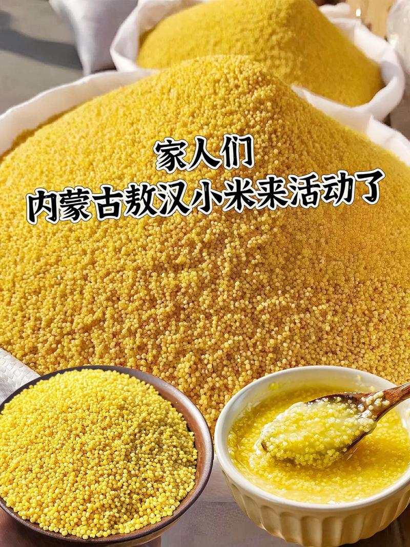 市场小米费用多少钱一斤？小米多少一斤 市场价？-第2张图片-优品飞百科