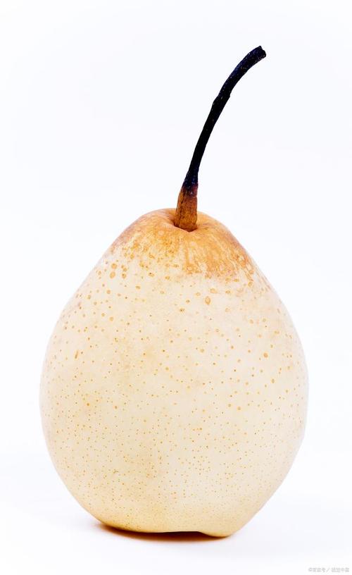 白苹果叫什么水果，白苹果的-第4张图片-优品飞百科