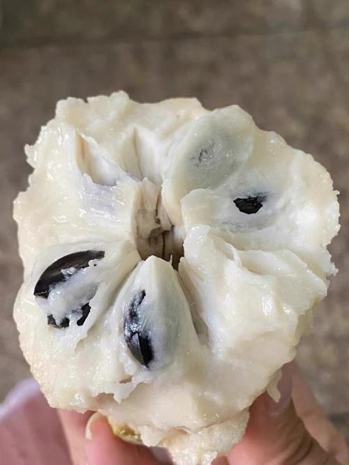 白苹果叫什么水果，白苹果的-第6张图片-优品飞百科