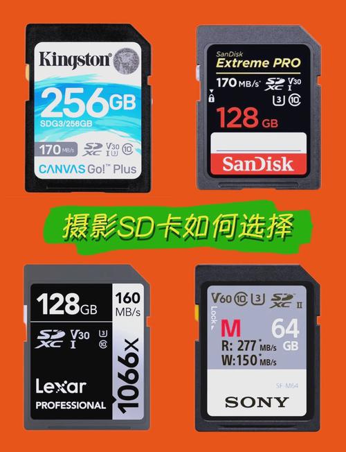 相机sd卡一般买多大，相机sd卡一般买多大的-第1张图片-优品飞百科