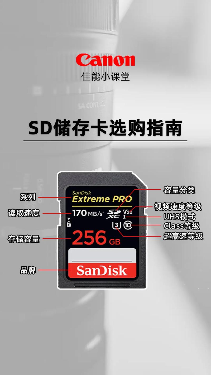 相机sd卡一般买多大，相机sd卡一般买多大的-第5张图片-优品飞百科