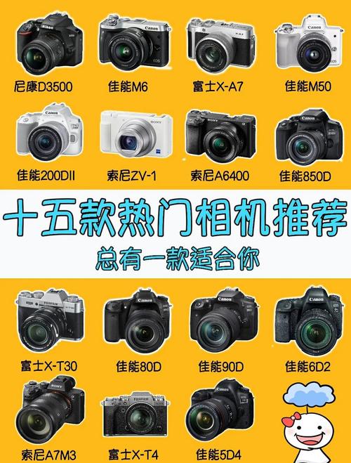 佳能6d是什么画幅，佳能6d2是什么画幅-第4张图片-优品飞百科