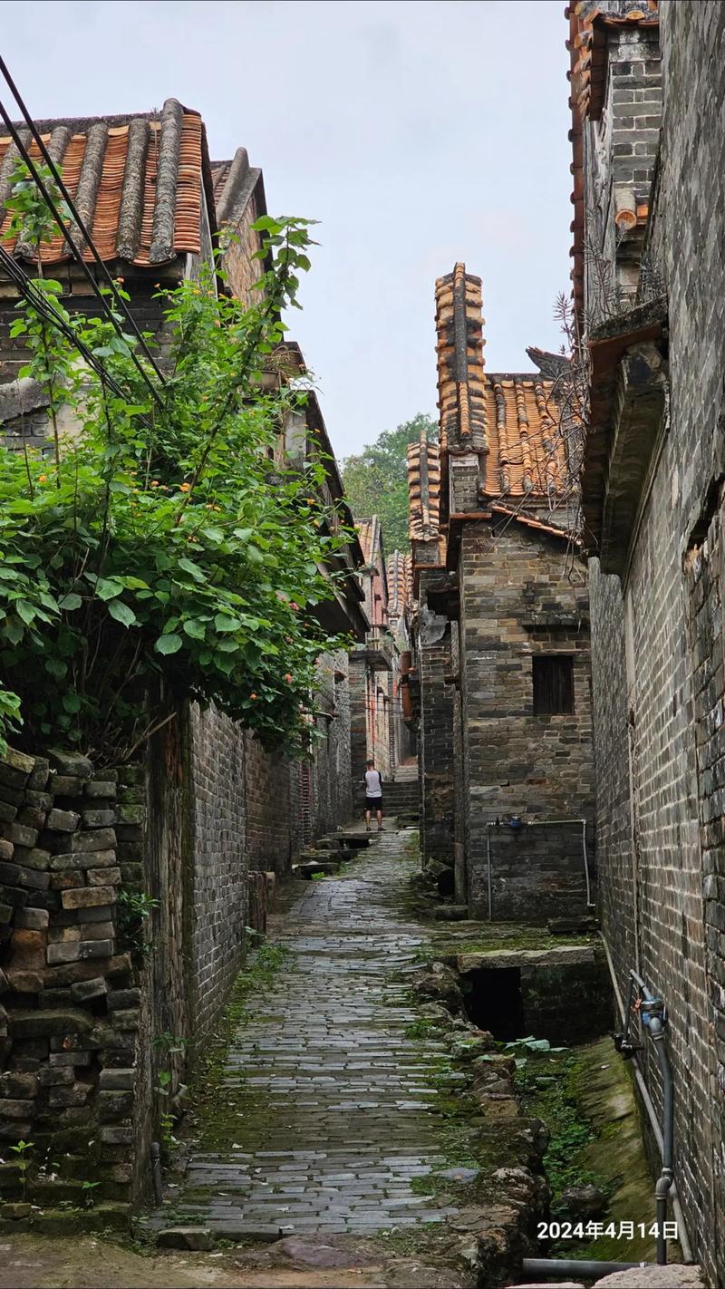 佛山天气预报15天，佛山天气预报15天查询2345？-第5张图片-优品飞百科