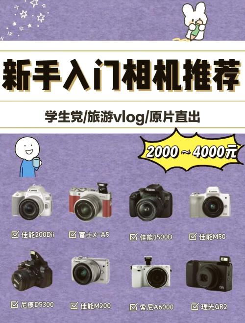 为什么照相机那么贵，为什么有些相机这么便宜-第1张图片-优品飞百科