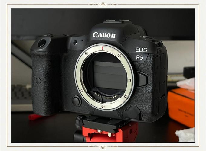 佳能r5原生iso是多少，佳能r5双原生iso-第3张图片-优品飞百科