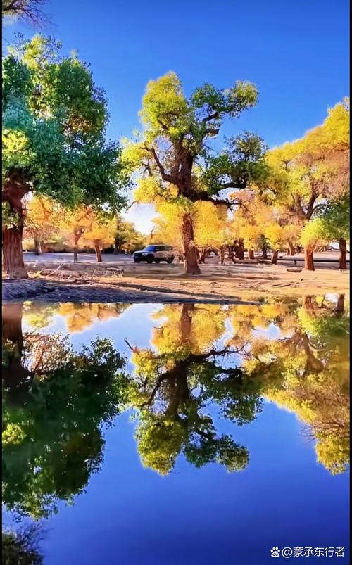 锡林郭勒盟天气预报？锡林郭勒盟天气预报30天？-第4张图片-优品飞百科