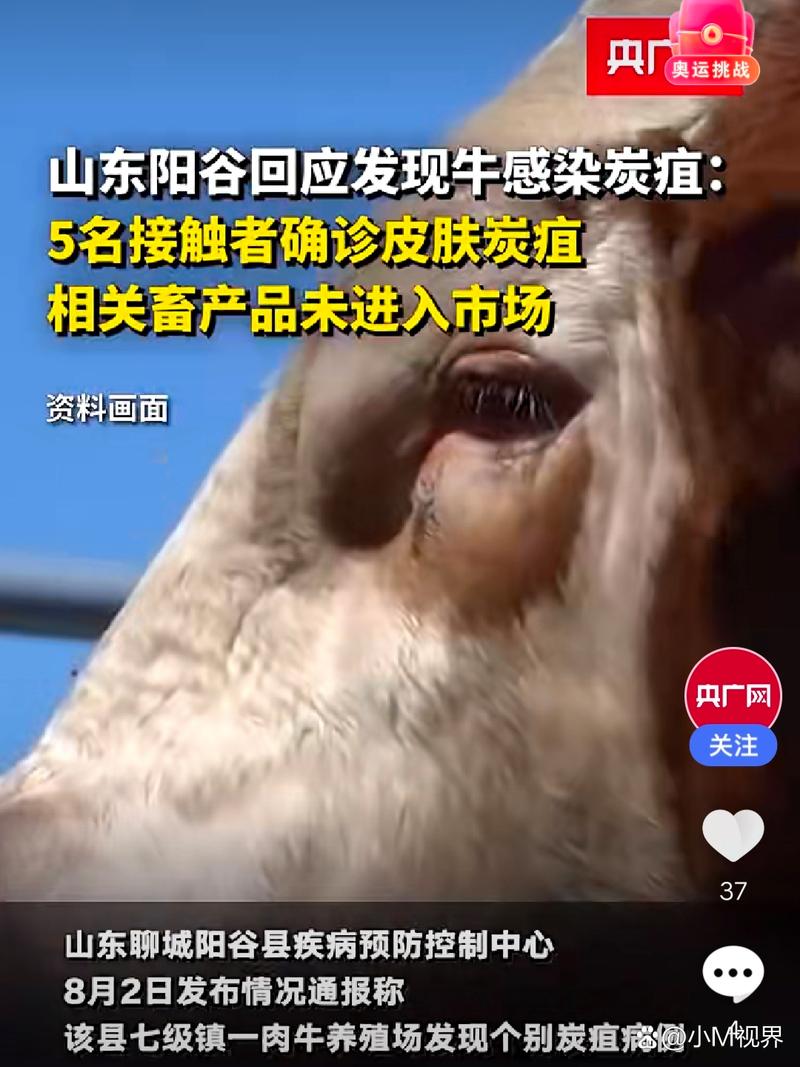 通辽疫情感染，通辽病情-第5张图片-优品飞百科