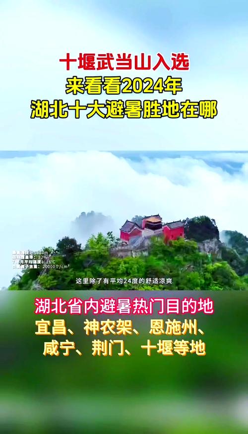 武当口村疫情，武当山新型肺炎最新消息？-第5张图片-优品飞百科