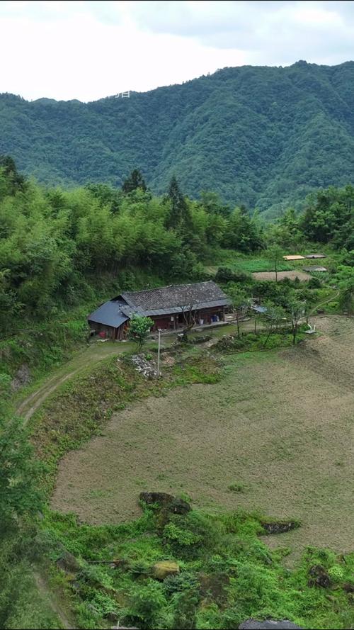 武当口村疫情，武当山新型肺炎最新消息？-第7张图片-优品飞百科