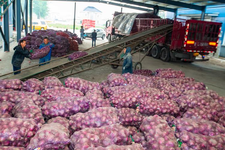 疫情食物捐赠，捐赠食品助力疫情防控？-第1张图片-优品飞百科