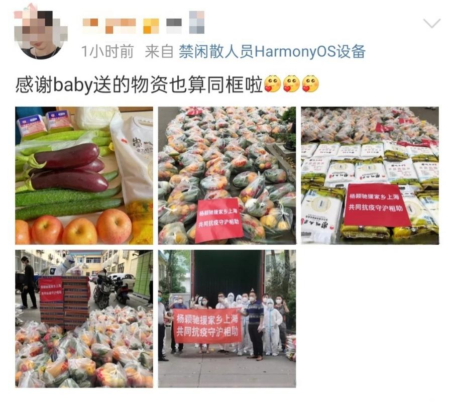 疫情食物捐赠，捐赠食品助力疫情防控？-第4张图片-优品飞百科