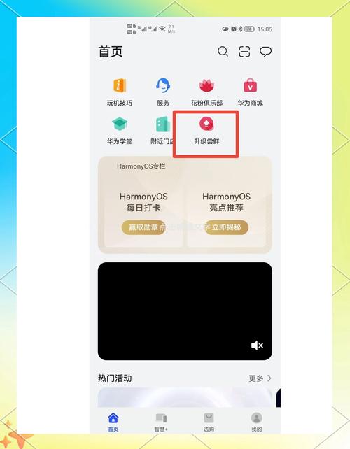 p10如何升级鸿蒙系统，p10 升级鸿蒙-第3张图片-优品飞百科