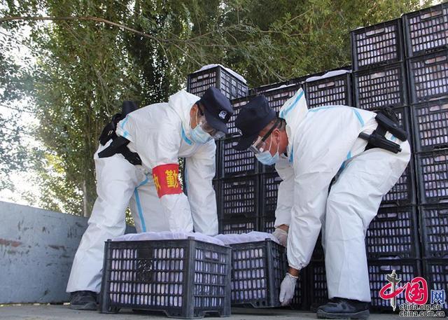 新疆疫情下经济?新疆疫情后的经济?-第4张图片-优品飞百科 新疆疫情下经济?新疆疫情后的经济?-第4张图片-优品飞百科