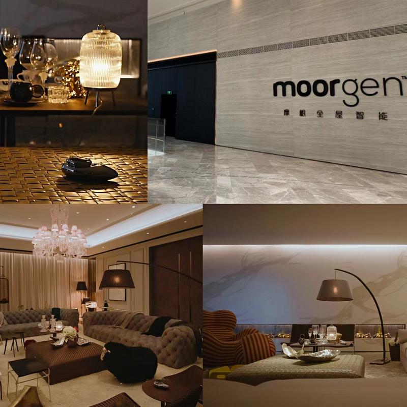 摩根智能家居系统怎么样？摩根智能家居是国产的吗？