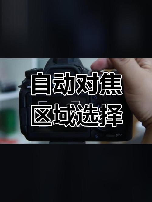 佳能5d2屏幕取景不自动对焦？佳能50d屏幕取景无法自动对焦？-第4张图片-优品飞百科