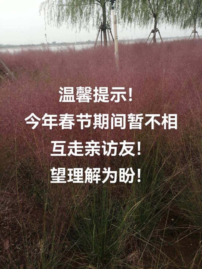 疫情该吃就吃，疫情吃紧？-第1张图片-优品飞百科