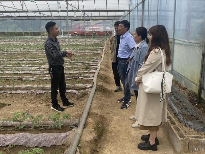 疫情返乡创业？2020返乡创业？