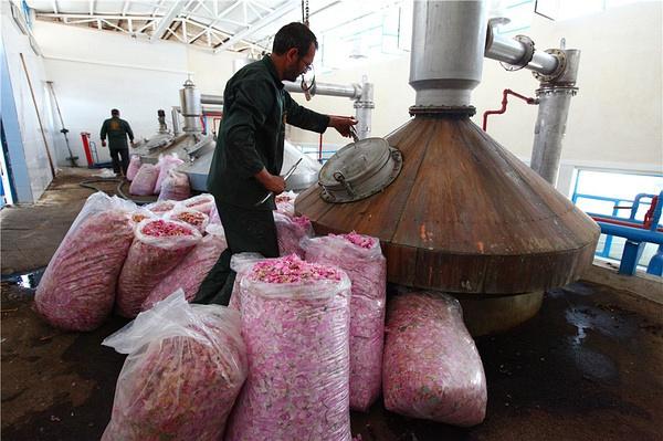 疫情返乡创业？2020返乡创业？-第3张图片-优品飞百科