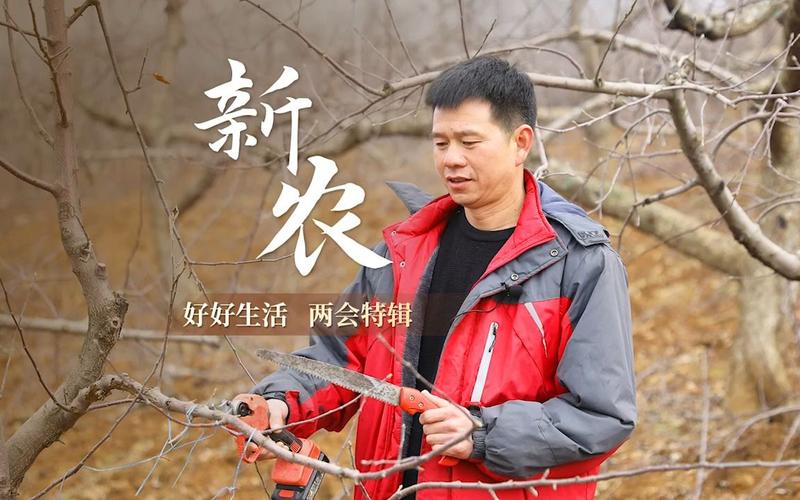 疫情返乡创业？2020返乡创业？-第4张图片-优品飞百科