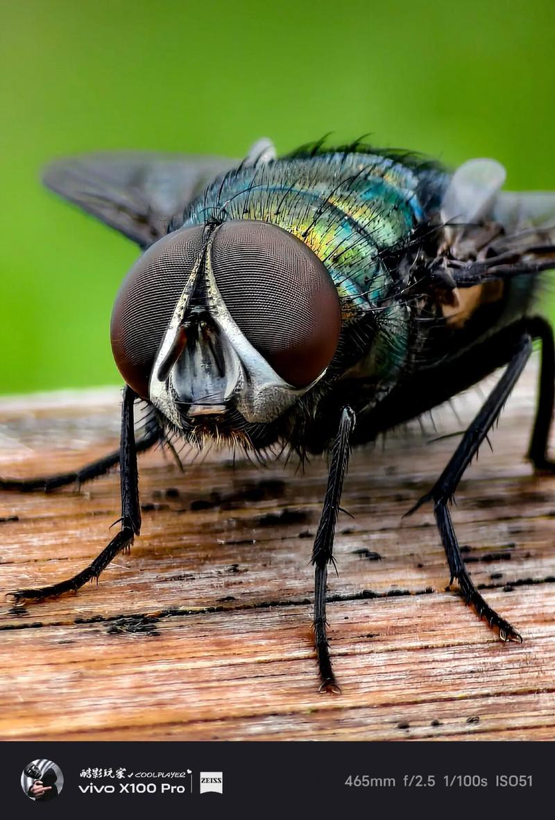 vivoz6x和z6哪个好，vivoz1x和z6性价比高吗怎么样？-第2张图片-优品飞百科