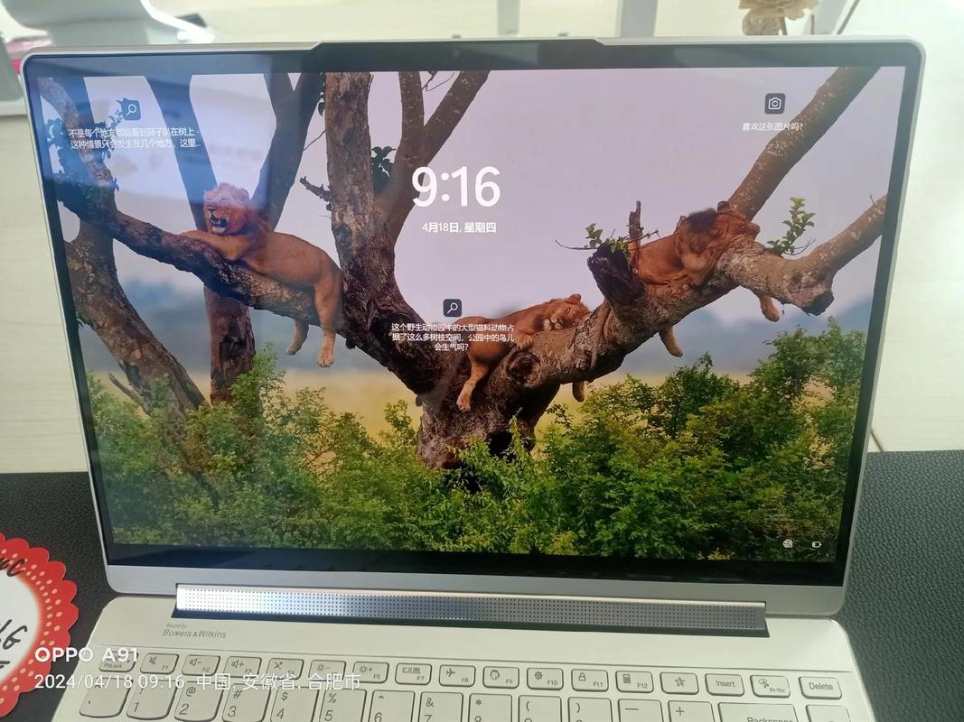 4k屏笔记本电脑有哪些，4k屏笔记本电脑有哪些品牌？-第4张图片-优品飞百科