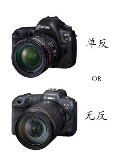 数码单反相机和数码相机的区别，数码单反相机和数码相机的区别在哪？-第4张图片-优品飞百科