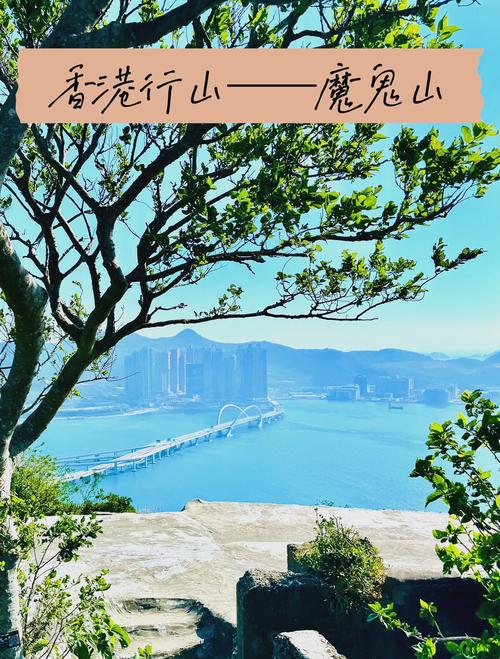 疫情死亡复活，疫情死亡场面？-第4张图片-优品飞百科