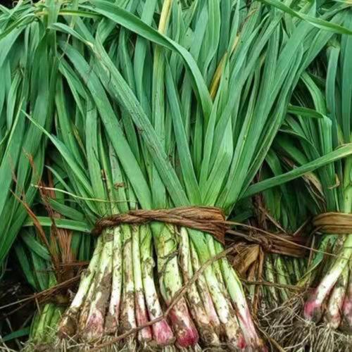 盐城大丰疫情？盐城大丰疫情最新消息？-第1张图片-优品飞百科