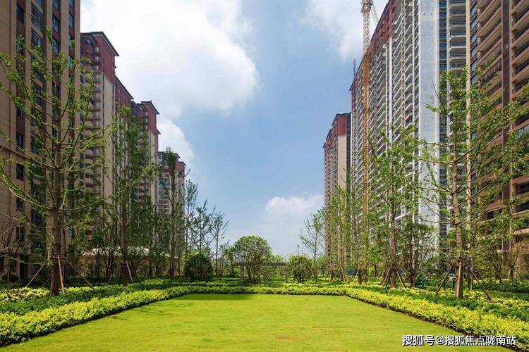 句容取消疫情，句容取消疫情防控通知？-第5张图片-优品飞百科