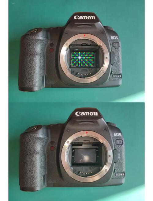 佳能5d2和90d哪个好，5d2与90d对比？-第6张图片-优品飞百科