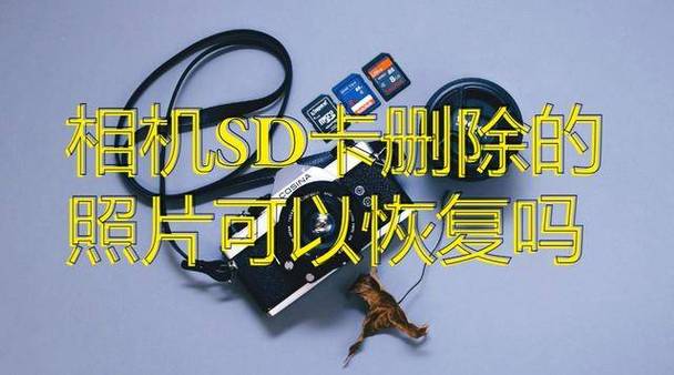 单反相机sd卡格式化怎么恢复，单反sd卡数据恢复-第5张图片-优品飞百科