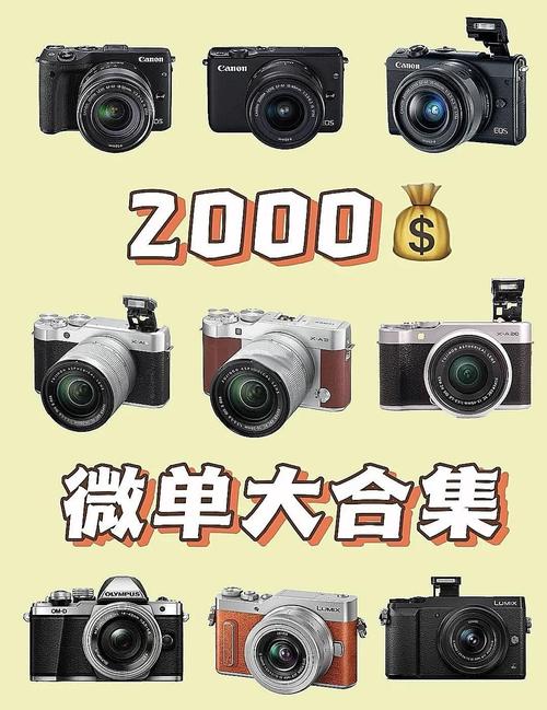 松下最新微单相机,松下最新单反?-第4张图片-优品飞百科 松下最新微单相机,松下最新单反?-第4张图片-优品飞百科