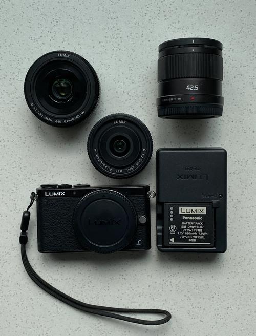 松下最新微单相机,松下最新单反?-第5张图片-优品飞百科 松下最新微单相机,松下最新单反?-第5张图片-优品飞百科