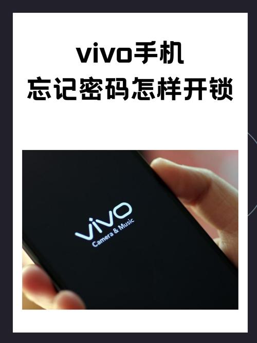 vivo清除数据初始密码是多少，vivo清除数据需要密码怎么解？-第4张图片-优品飞百科
