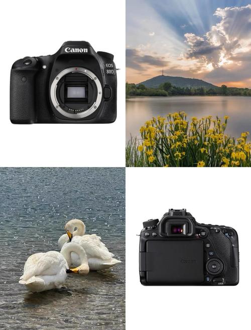 佳能80d画幅？佳能80d画质设置哪个比较好？-第8张图片-优品飞百科