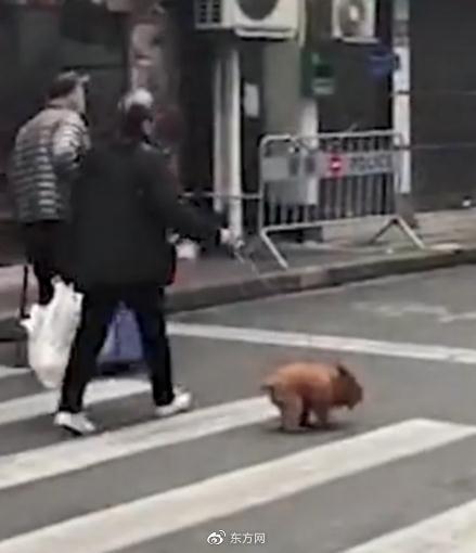 央视疫情评论，央视频 疫情？-第2张图片-优品飞百科