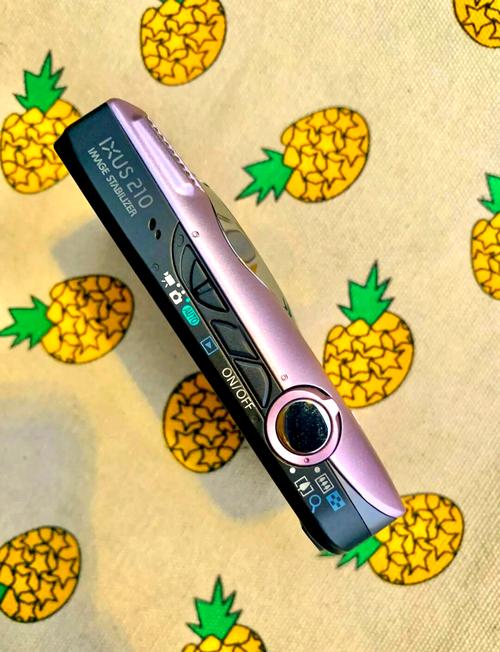 佳能ixus95是哪一年出的？佳能 ixus95？-第1张图片-优品飞百科