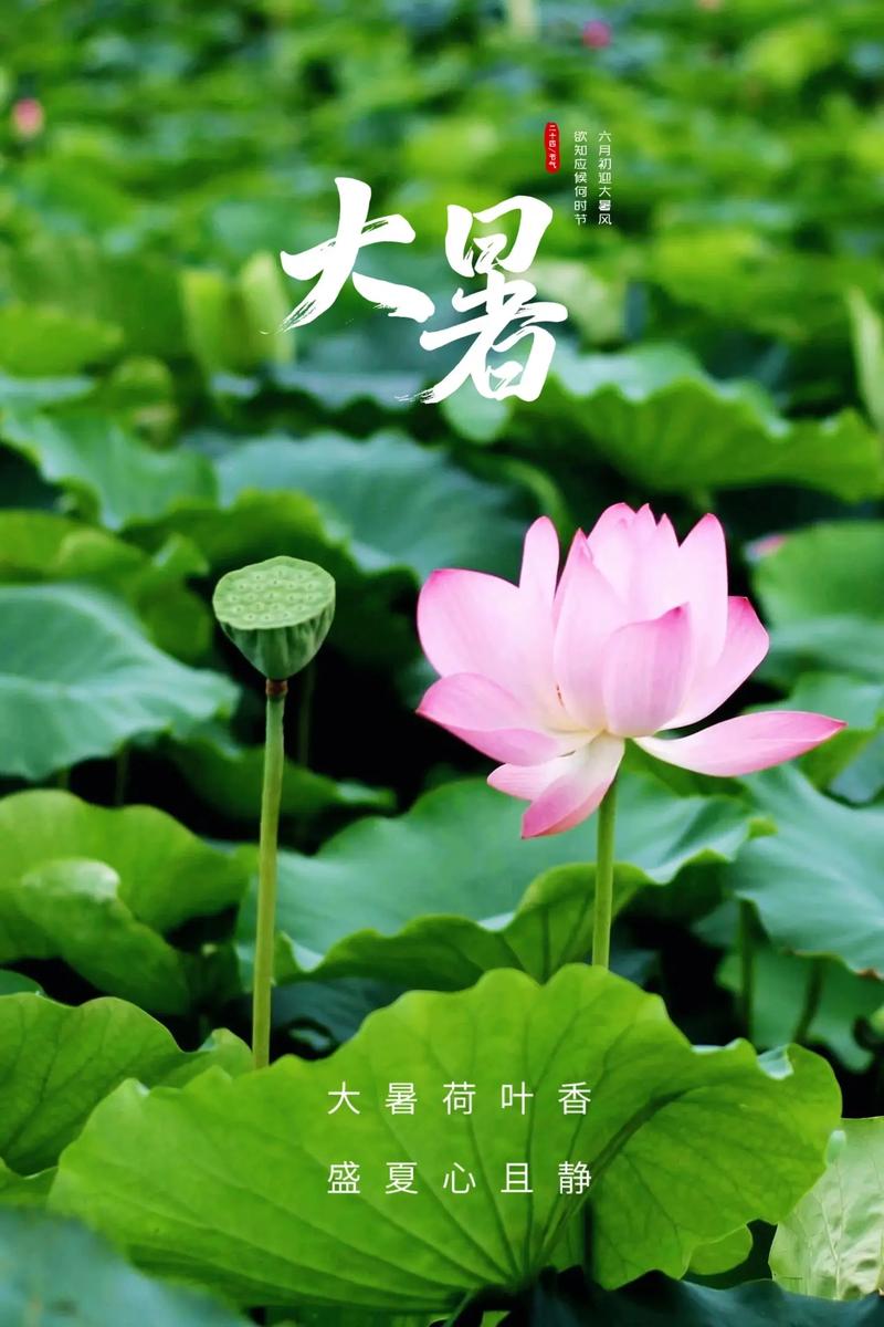 疫情战高温，高温抗疫-第1张图片-优品飞百科