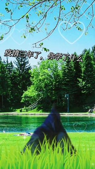 疫情之下我看到？疫情之下,我看见了祖国的伟大!？-第4张图片-优品飞百科