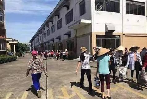 疫情严重越南？越南疫情缓解？-第2张图片-优品飞百科